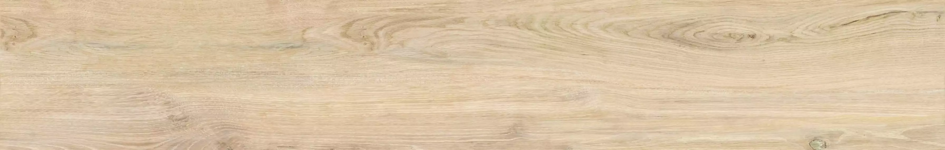 31603 VERBIER MAPLE AS/24X151/C/R R11 24X151