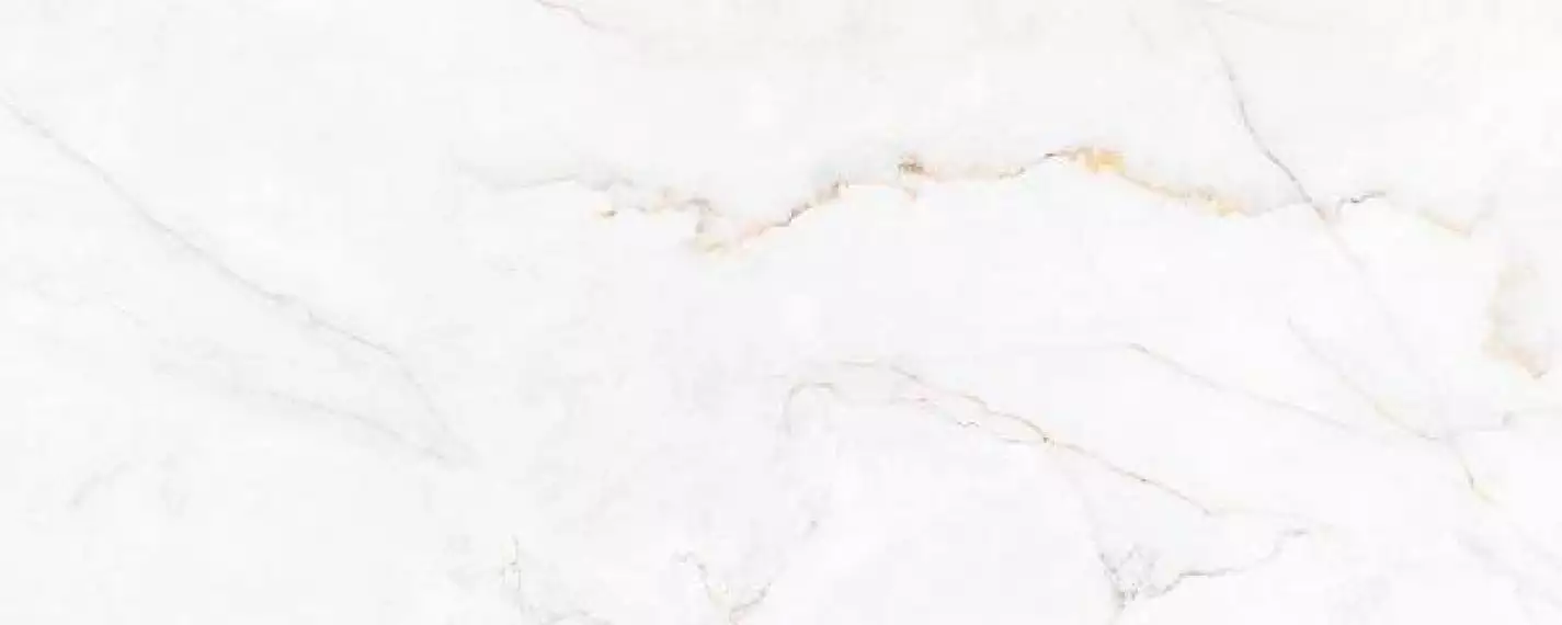 316231 Syrac Polished 120x300