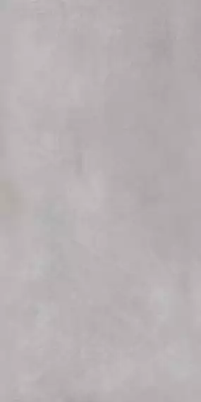 322 Continuo Gray Light 60x120