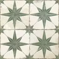 32449 FS Star Sage LT 45x45