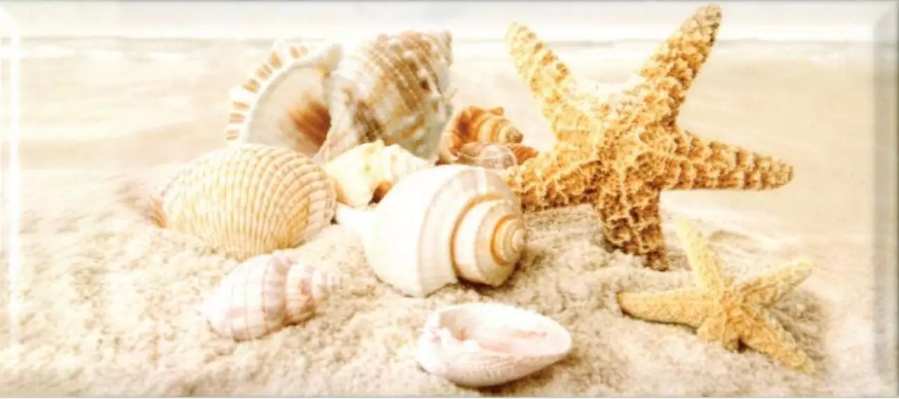 336763 Легенда Seashells 20x45