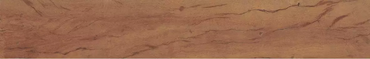 34881 FS FOREST PLANK NATURAL 7,3x45