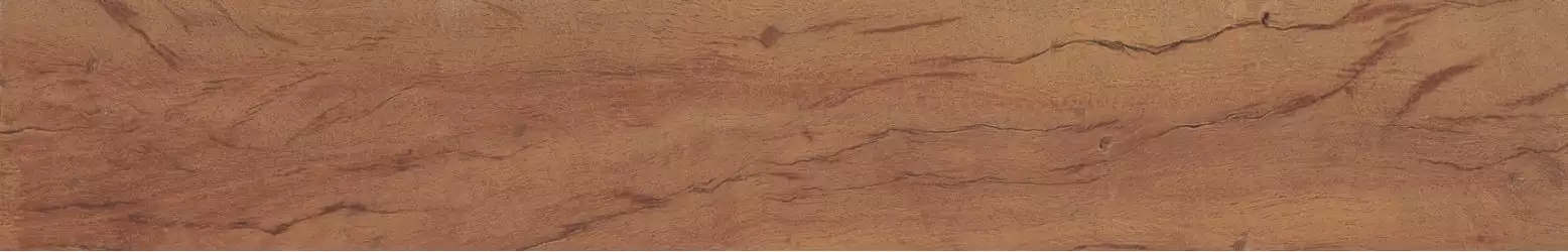 34881 FS FOREST PLANK NATURAL 7,3x45