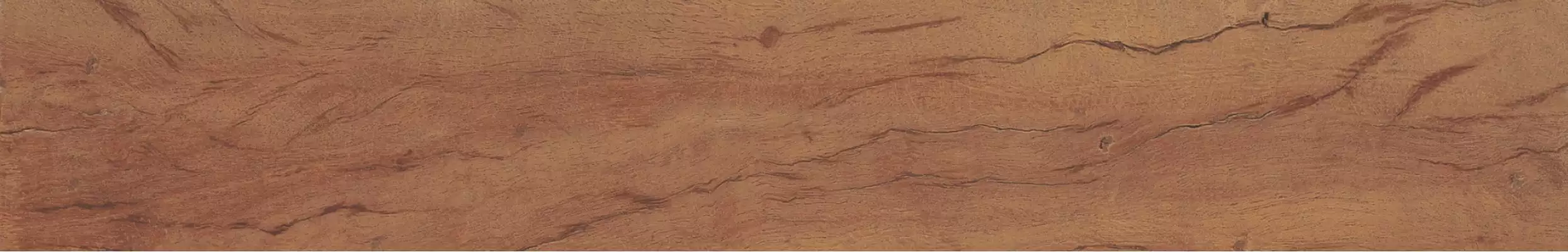 34881 FS FOREST PLANK NATURAL 7,3x45