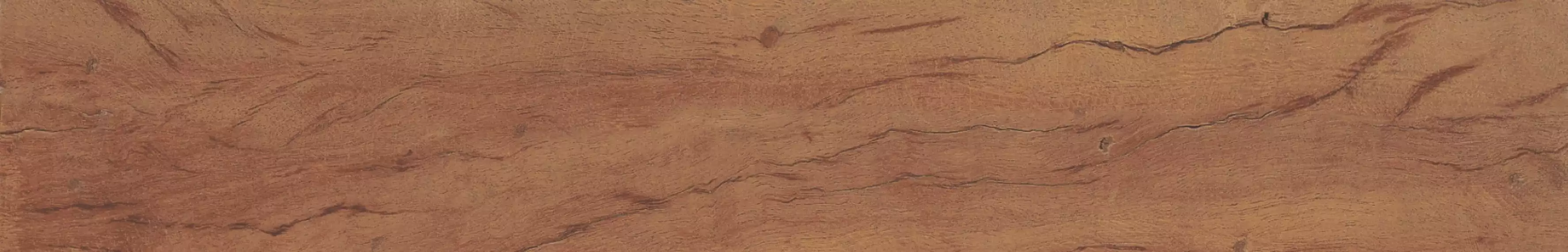 34881 FS FOREST PLANK NATURAL 7,3x45