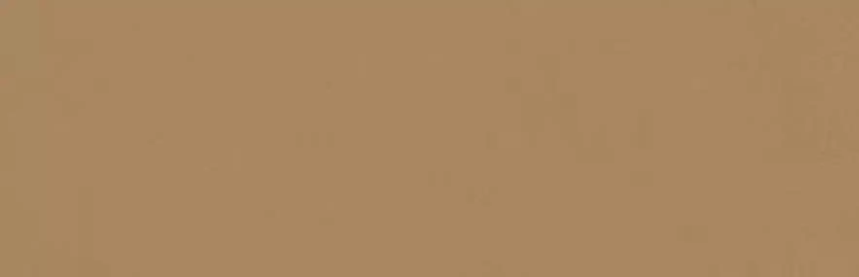 349K Плитка Zepto Siena 4,2x13