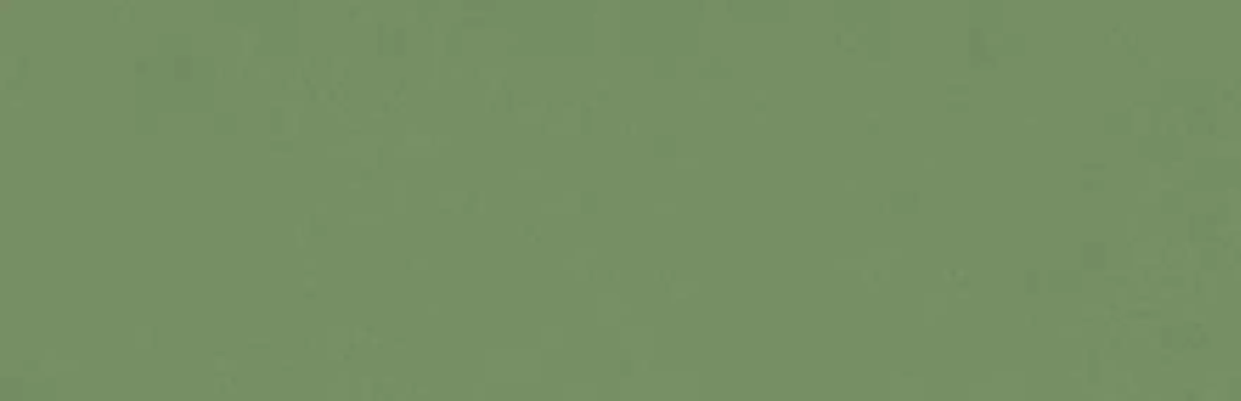 349M Плитка Zepto Verde 4,2x13