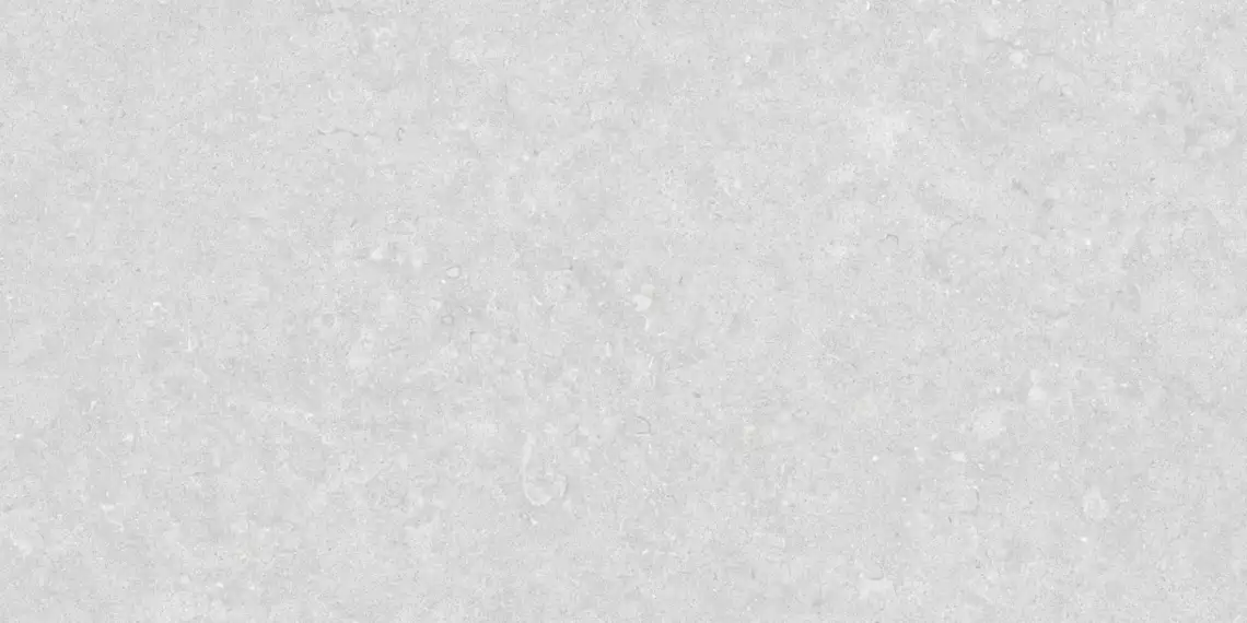 35569 Ghent Silver/50X100X2/A/R 50x100