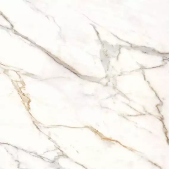 36CL20P Calacata Gold Pulido 119x119