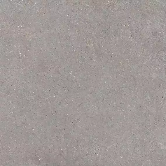 36MI30R Керамогранит MITICA GRIS REC R10 120X120