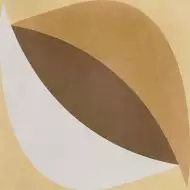 40JP Afton-R 29.3х29.3