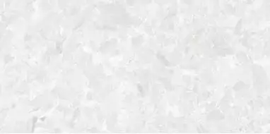 4100510 Solo White 60x120