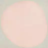 4100528 Drop Rose 15x15