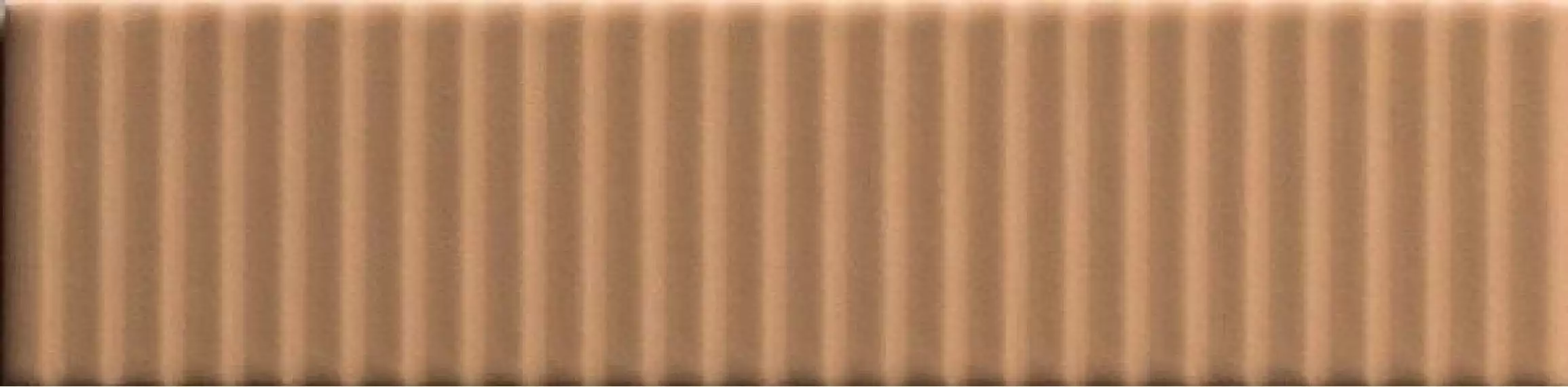 4100603 Strip Terra 5x20