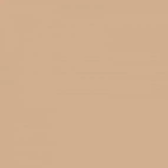 4100633 Sunday Terra 20x20