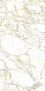 4100704 Pulp Gold Double Polished 60x120