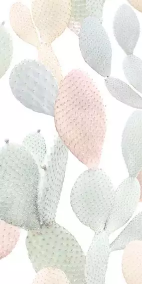 4100712 Marcela 50x100