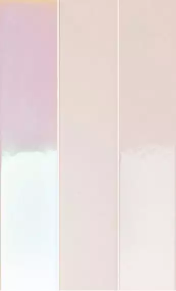 4100730 Rose Hologram Mix 5x25
