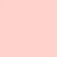 4100805 07 Rose 11,55x11,55