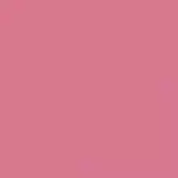 4100806 08 Strawberry 11,55x11,55