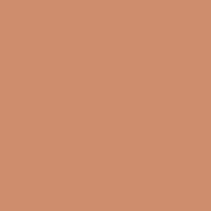 4100810 12 Terra 11,55x11,55