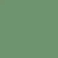 4100833 35 Musk 11,55x11,55