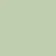 4100834 36 Salvia 11,55x11,55
