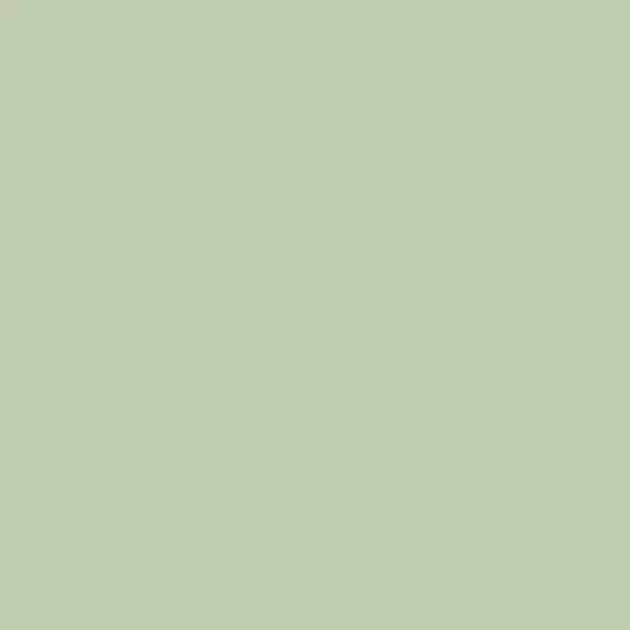 4100834 36 Salvia 11,55x11,55