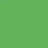 4100836 38 Frog 11,55x11,55