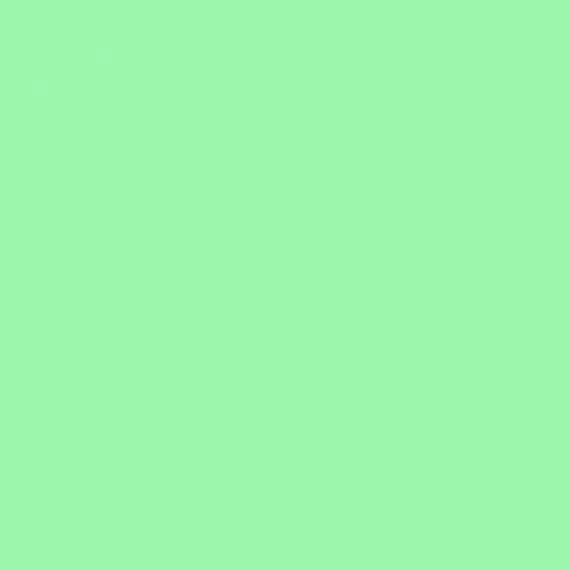 4100839 41 Mint 11,55x11,55