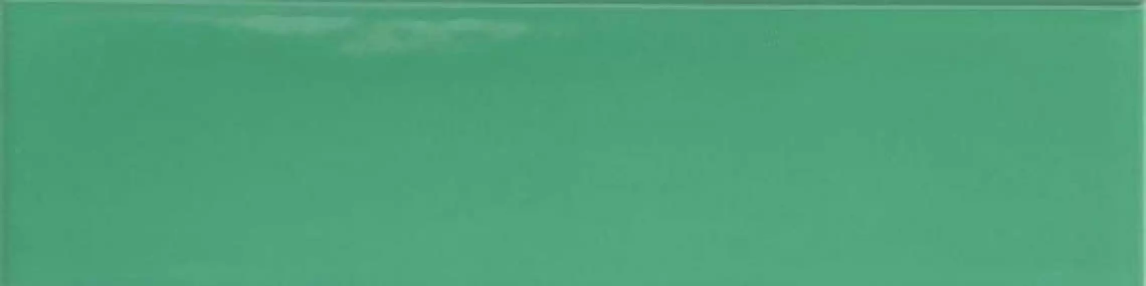 4101046 Green 5x20