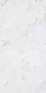 4101065 Керамогранит Italic Carrara 60x120
