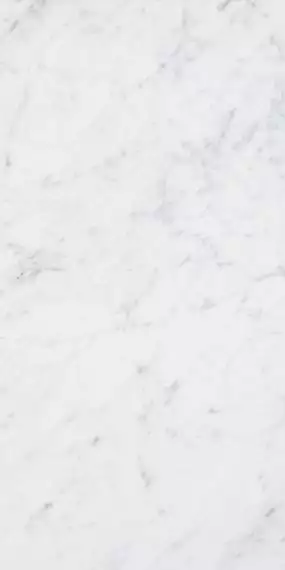 4101065 Керамогранит Italic Carrara 60x120