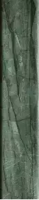 4101210 Dandy MR Green 5x25