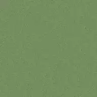 41UI Керамогранит Micra-R Verde R10 80x80