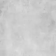 433 Millennium Gray 100x100