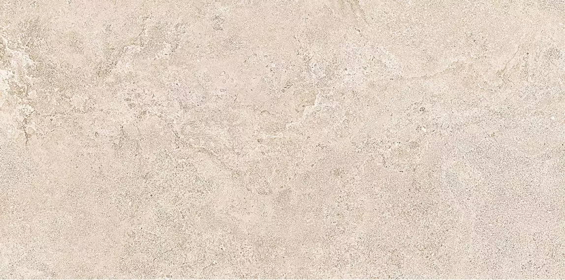44EA29R ELBA TAUPE REC. R10 60X120