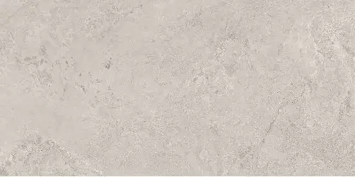 44EA39R ELBA GRIS REC. R10 60X120