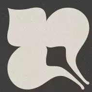 4CM1 Керамогранит Triza-R 120x120