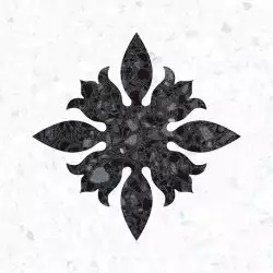 4FCG Andria-R Carbon 20x20