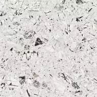 4X59 Luna-R Blanco Pulido 79,3x79,3