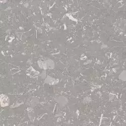 4X60 Luna-R Gris Pulido 79,3x79,3