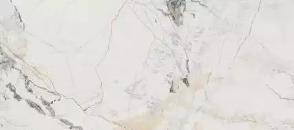4X62 Керамогранит Erdek-R Pulido 79.3x179.3