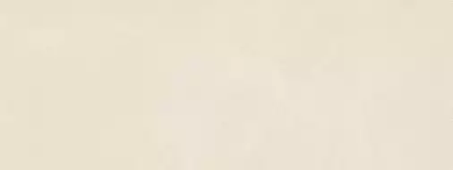 4YWH Плитка Manhattan-R Light 45x120