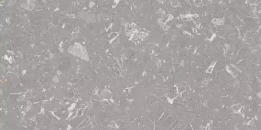 4ZLN Luna-R Gris Pulido 59,3x119,3