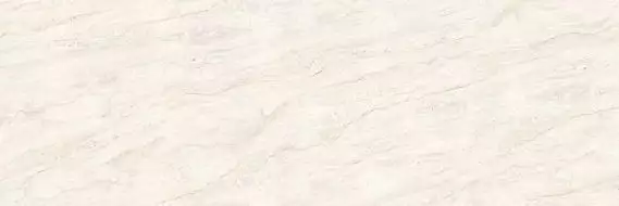 5003 Bone Arden 40x120