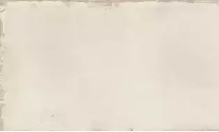 512001 Керамогранит MAY WHITE 10X20