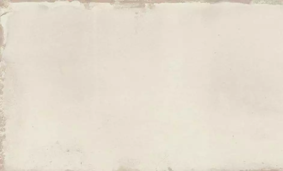 512001 Керамогранит MAY WHITE 10X20