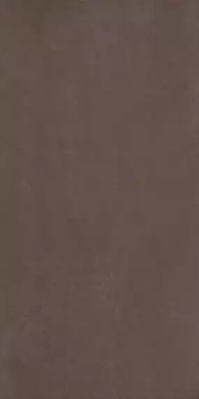 539 Eterno Brown 60x120