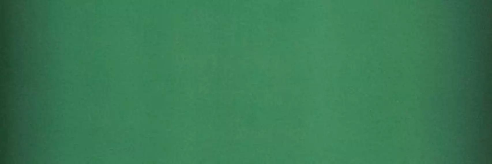 562222 SLIDE EMERALD SQ. 60X20